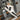 Baskets Sureau blanc noir